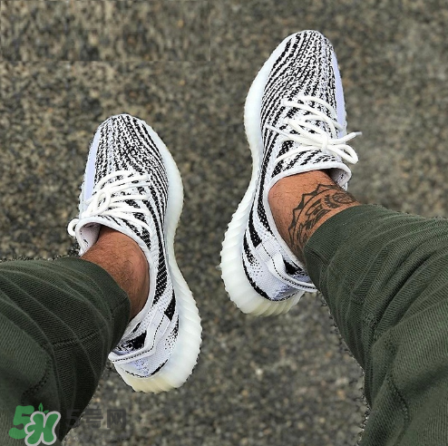 adidas yeezy 350 v2 boost zebra白斑馬市場價多少錢？