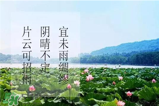 2017年幾月幾號入伏？入伏是幾月幾號2017？