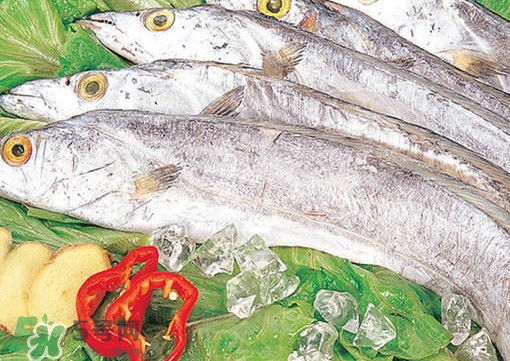 帶魚(yú)是咸的嗎？帶魚(yú)是無(wú)鱗魚(yú)嗎