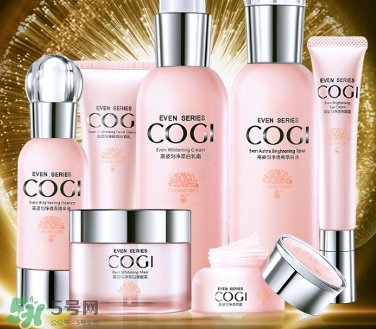 高姿大白水成分 高姿大白水有激素嗎？