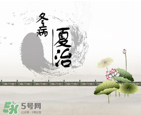 2017年三伏貼什么時(shí)候貼？2017年三伏貼貼幾天？