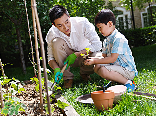 入伏種什么菜？入伏適合種哪些蔬菜？