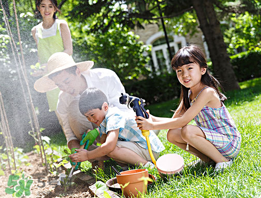 入伏種什么菜？入伏適合種哪些蔬菜？