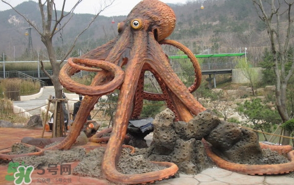 章魚是烏賊嗎？章魚與烏賊的區(qū)別