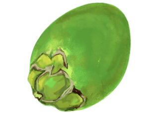 檳榔不能和什么一起吃？檳榔和什么不能一起吃？