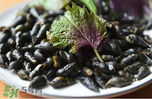 紫蘇是什么植物？紫蘇是發(fā)物嗎？