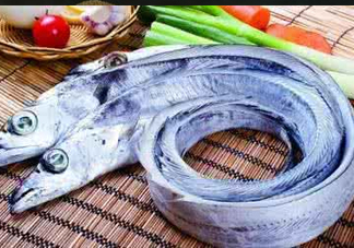 帶魚為什么都是死的？帶魚為什么出水就死？