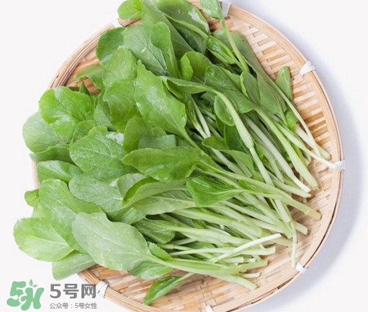 雞毛菜有什么營(yíng)養(yǎng)價(jià)值？雞毛菜的功效與作用