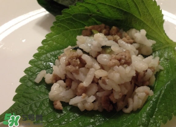 紫蘇和羅勒是一種東西嗎？紫蘇葉對(duì)人體有什么好處