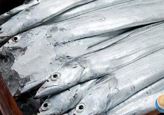 帶魚是深海魚嗎？帶魚是海鮮嗎