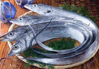 帶魚是咸的嗎？帶魚是無鱗魚嗎