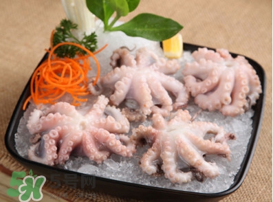 八爪魚(yú)可以生吃嗎？八爪魚(yú)生吃有寄生蟲(chóng)嗎