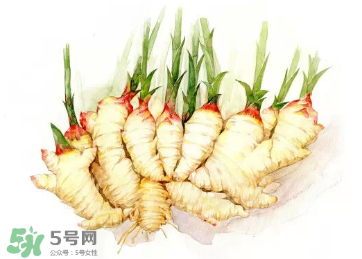 7月份可以種生姜嗎？生姜幾月份種植？