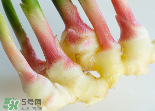 7月份可以種生姜嗎？生姜幾月份種植？