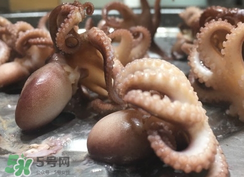 八爪魚怎么做好吃？八爪魚怎么保存