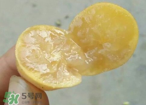 黃皮可以吃皮嗎？黃皮果可以帶皮吃嗎