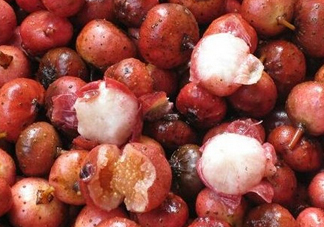 野地瓜哪里可以買到？哪個(gè)地方有種植野地瓜的