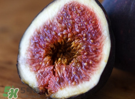 無花果喜陽還是喜陰植物？無花果吃多會怎么樣