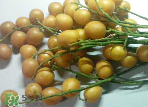 黃皮果可以放冰箱嗎？黃皮果可以放多久