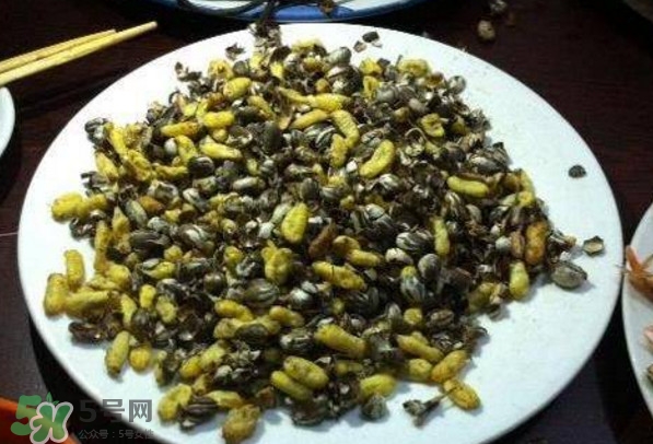 洋辣子是什么？洋辣子能吃嗎？