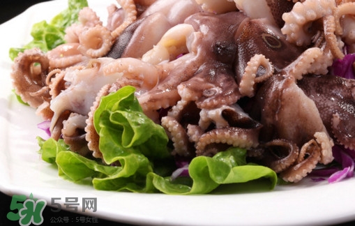 八爪魚是魷魚嗎？八爪魚是章魚嗎