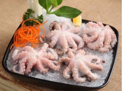 八爪魚是海鮮嗎？八爪魚是發(fā)物嗎