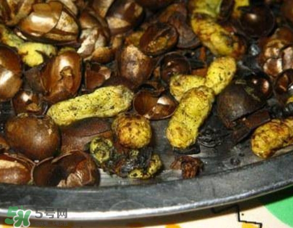 洋辣子是什么？洋辣子能吃嗎？