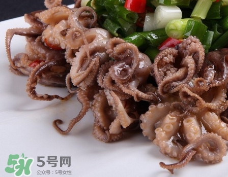 八爪魚怎么做好吃？八爪魚怎么保存