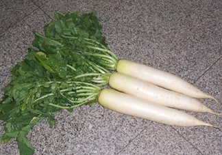 頭伏蘿卜二伏菜是什么意思？頭伏種什么菜？