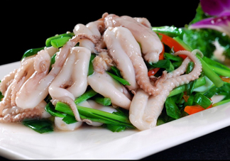 八爪魚是魷魚嗎？八爪魚是章魚嗎