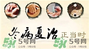 冬病夏治的好處?冬病夏治能治什么病? 冬病夏治的好處?冬病夏治能治什么病?