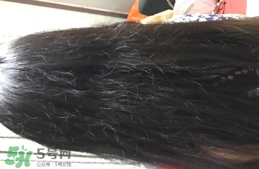 mm魔法梳和tt梳子哪個好？michel mercier和tangle teezer魔法梳