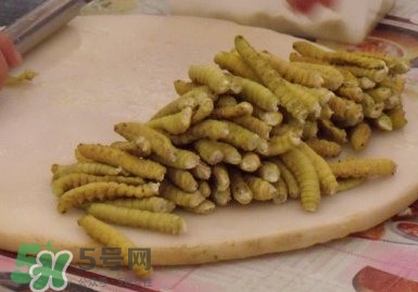 豆丹做菜前怎么處理干凈？豆丹怎么養(yǎng)殖