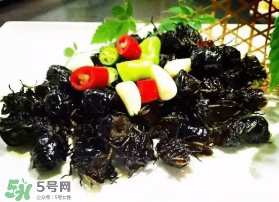 知了多少錢一斤？知了多少錢一斤2017？