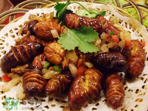 油炸知了猴有毒嗎？油炸知了猴的等與砒霜