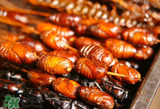 油炸知了猴幾分鐘？油炸知了猴怎么做好吃？