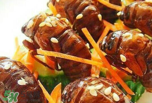 油炸知了猴幾分鐘？油炸知了猴怎么做好吃？