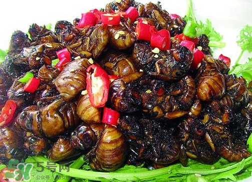 知了猴多少錢(qián)一個(gè)？油炸知了猴多少錢(qián)一盤(pán)？