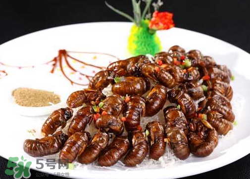 知了不能和什么一起吃？知了猴不能和什么同吃？