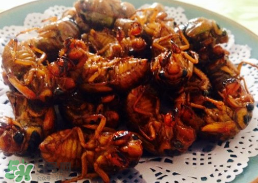 知了不能和什么一起吃？知了猴不能和什么同吃？