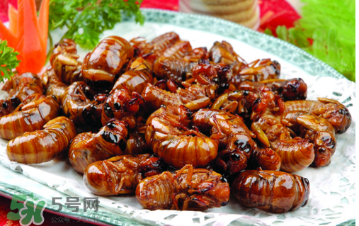 知了不能和什么一起吃？知了猴不能和什么同吃？