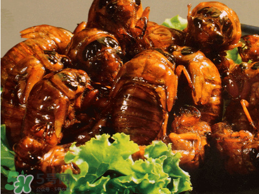 知了猴怎么吃？知了猴什么人不能吃？