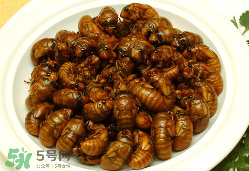 知了猴可以和雞蛋一起吃嗎？知了和雞蛋可以一起吃嗎？