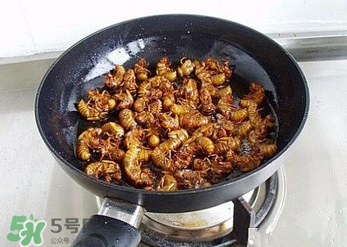 知了猴可以和雞蛋一起吃嗎？知了和雞蛋可以一起吃嗎？