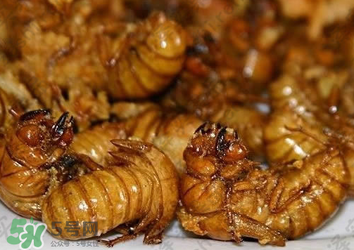 知了猴可以和雞蛋一起吃嗎？知了和雞蛋可以一起吃嗎？