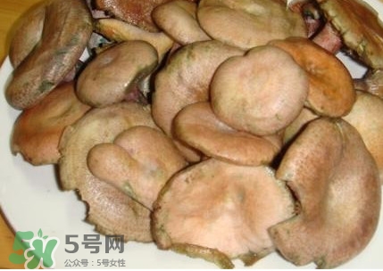 樅樹(shù)菌孕婦可以吃嗎？孕婦能吃樅樹(shù)菌嗎