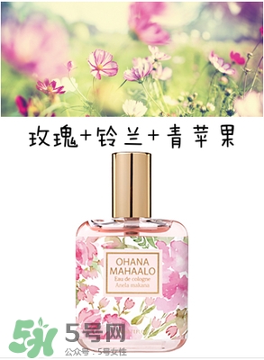 ohana mahaalo香水是什么牌子？ohana mahaalo在哪買？
