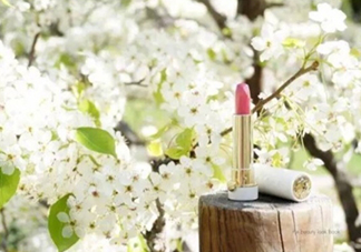 tatcha梅子粉好看嗎？tatcha白管口紅梅子粉試色