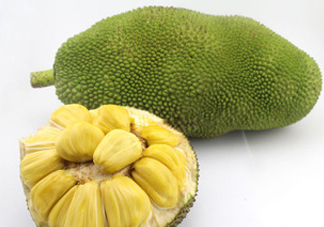 木菠蘿買來怎么吃？木菠蘿吃多了會怎樣？