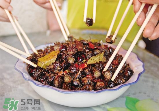 知了猴孕婦可以吃嗎？孕婦能吃知了猴嗎？